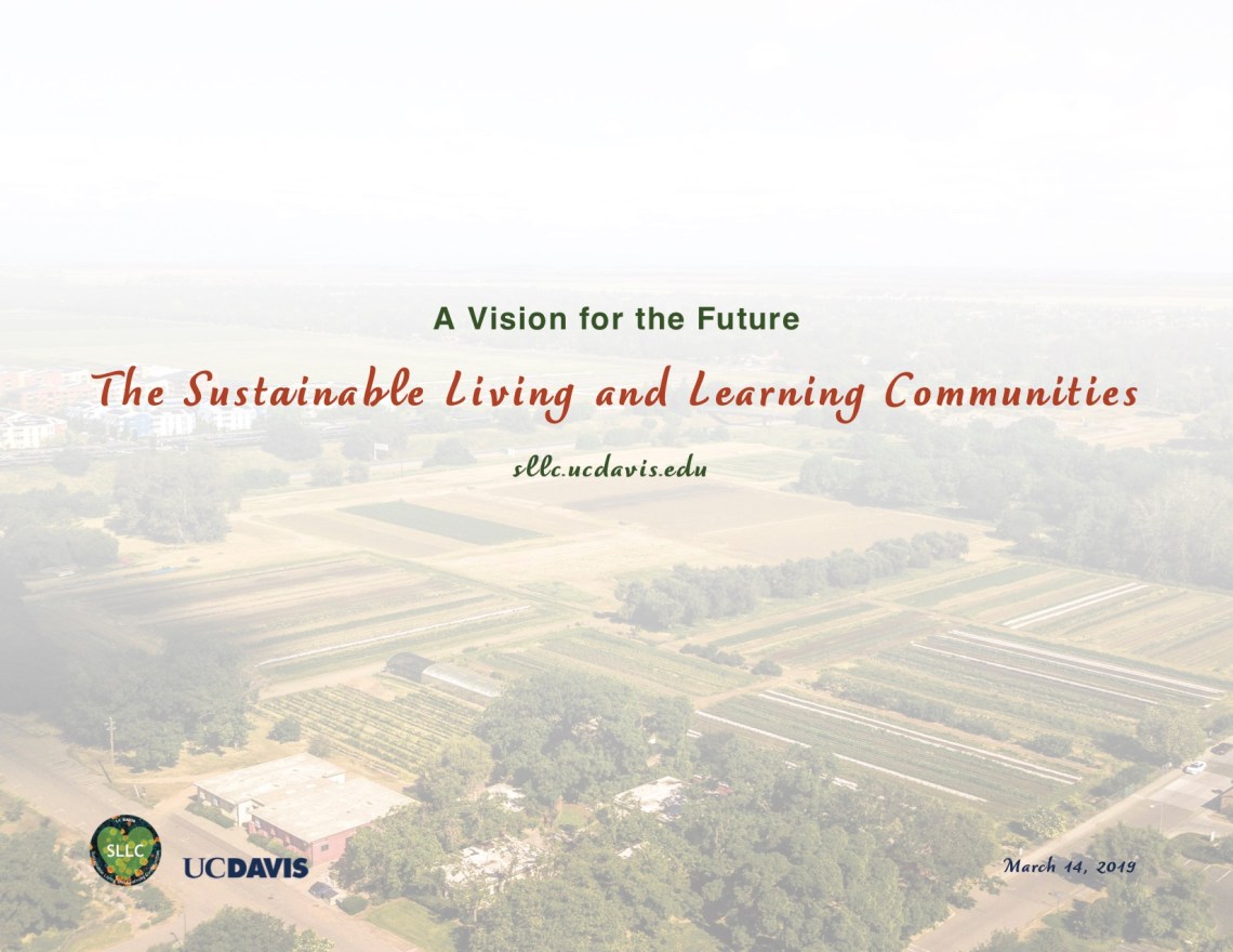SLLC Vision Plan